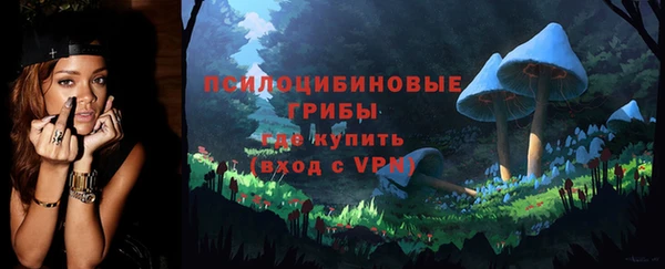 соль ск Арсеньев