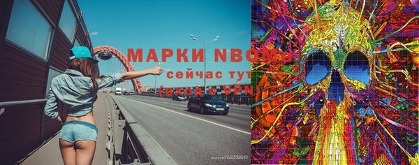 соль ск Арсеньев