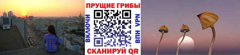 Купить  Ханты-Мансийск  Псилоцибиновые грибы Psilocybine cubensis 